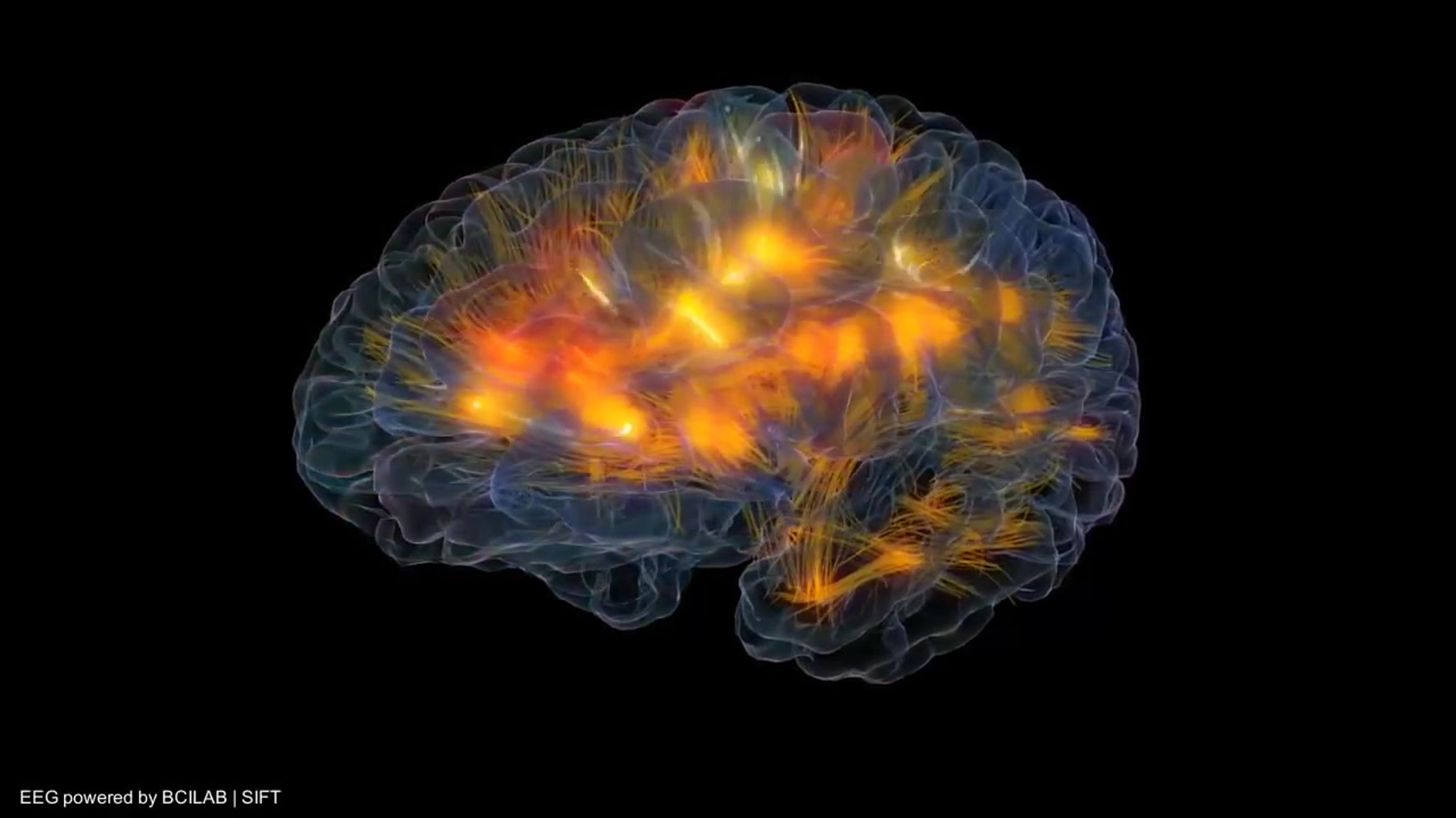 Glass Brain Flythrough